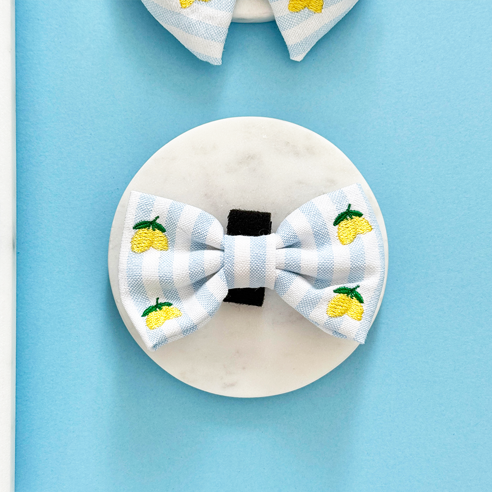 Living La Vida Lemon Bow Tie
