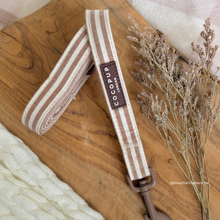 London Linen Stripes Adjustable Neck Harness, Lead & Collar Bundle