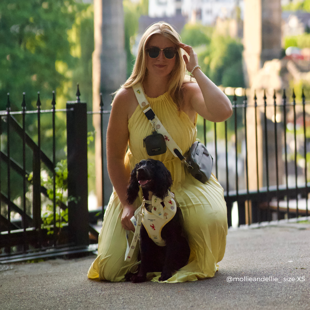Dog Walking Bag Bundle - Picnic in Positano