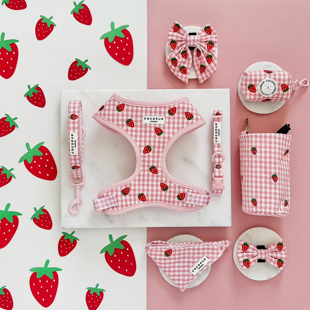 Strawberry Picnic Pup Adjustable Neck HARNESS