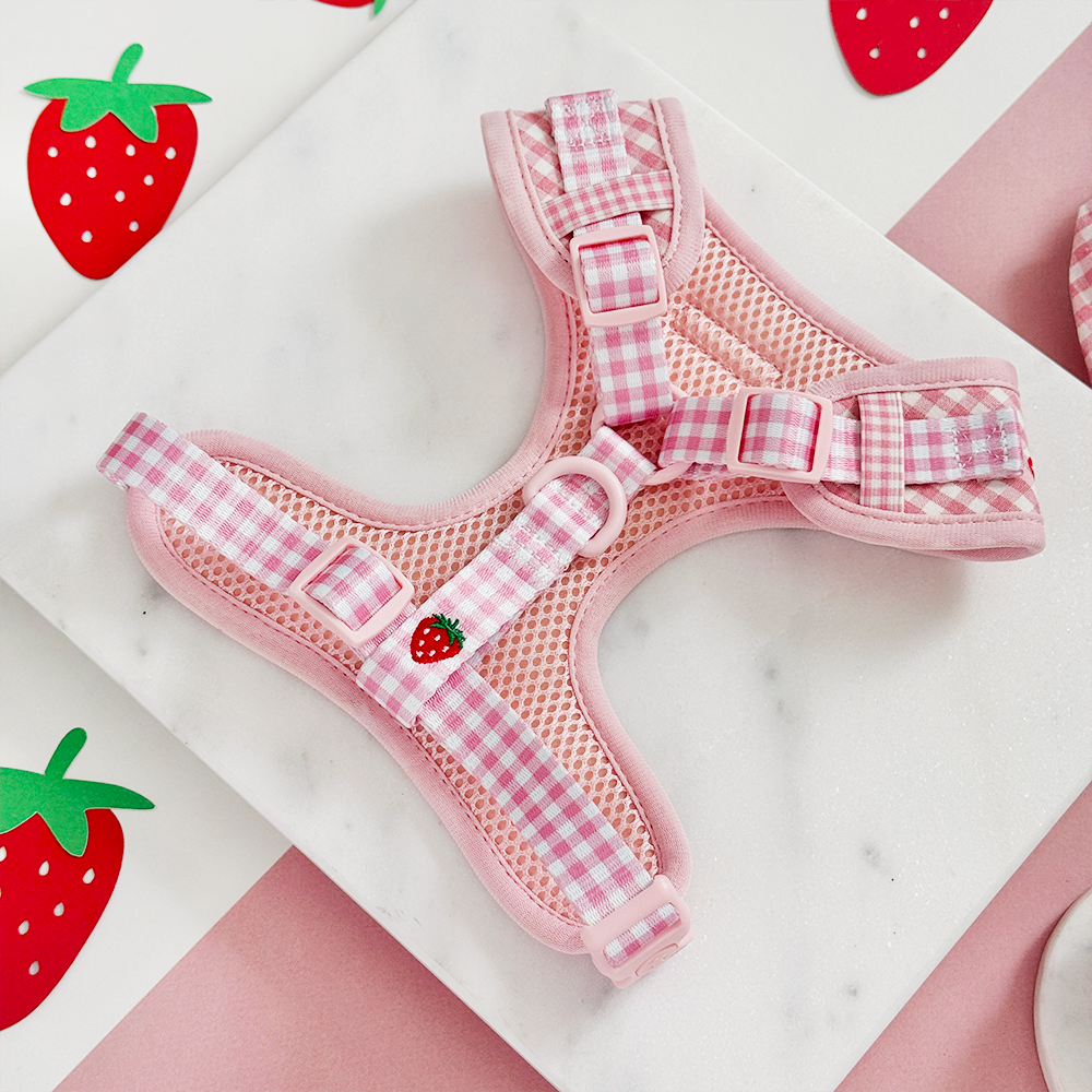 Strawberry Picnic Pup Adjustable Neck HARNESS