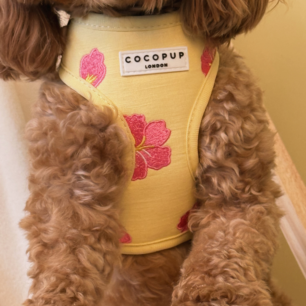 Pink Hibiscus Adjustable Neck HARNESS