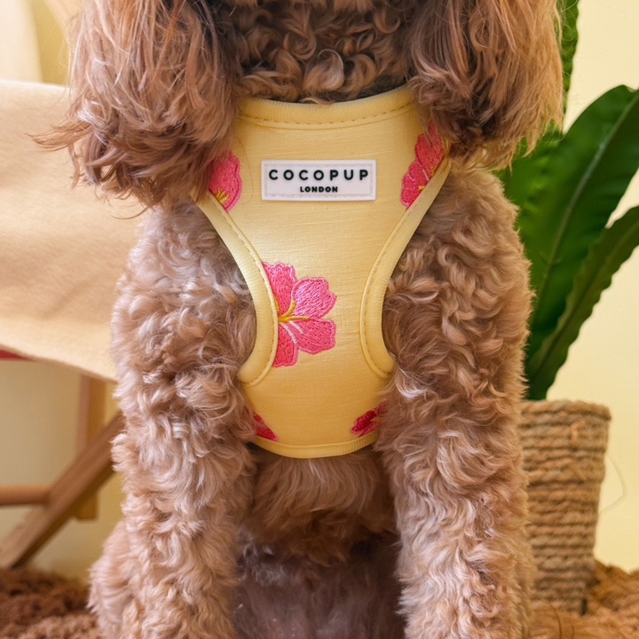Pink Hibiscus Adjustable Neck HARNESS