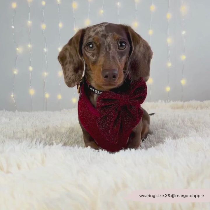 Limited Edition Burgundy Sparkle Pup Adjustable Neck Harness