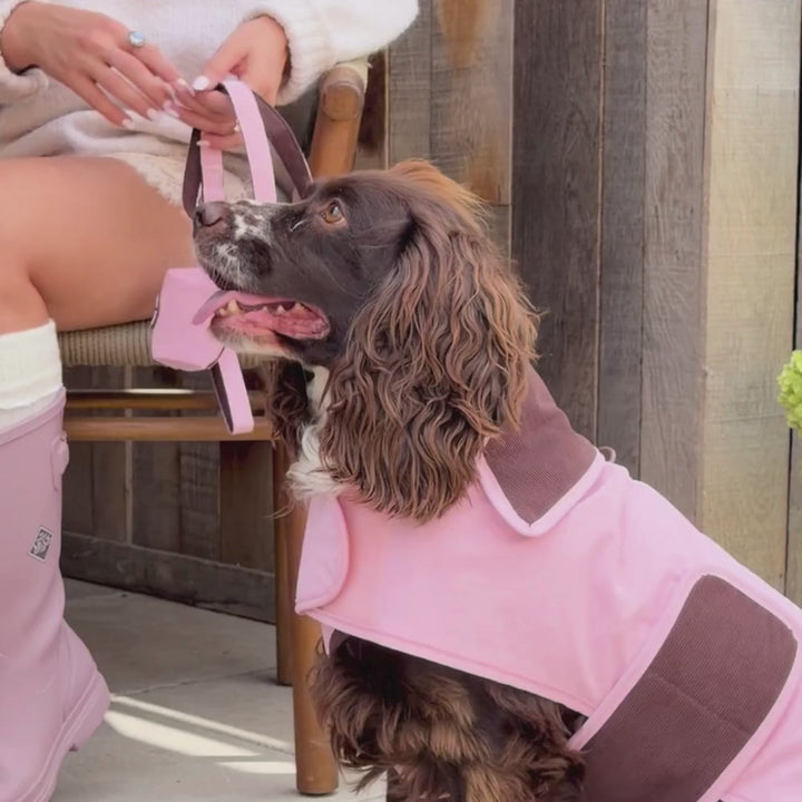 A brown dog wearing a pink and brown waterproof dog coat, with a person's legs in boots visible in the background.