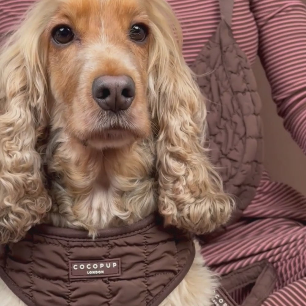 Espresso Quilted Adjustable Neck HARNESS