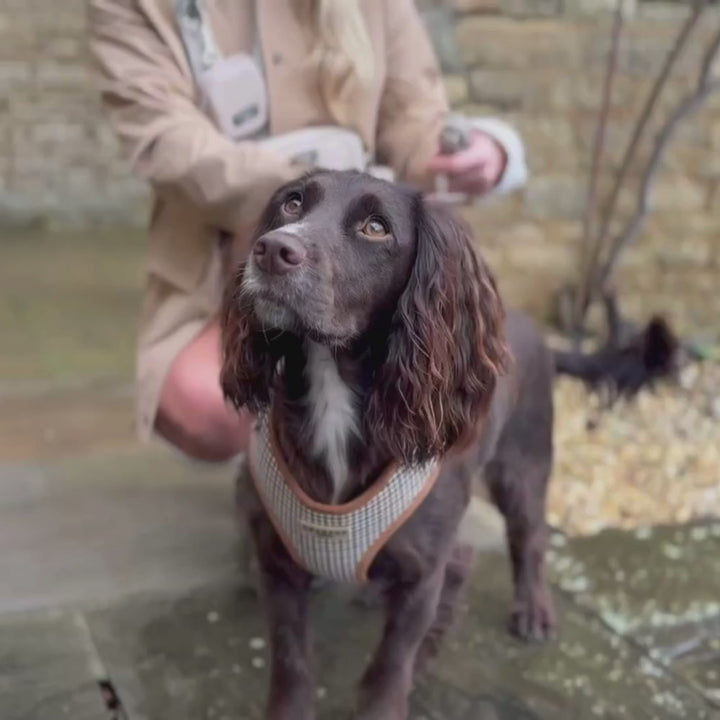 Cotswold Check Adjustable Neck HARNESS