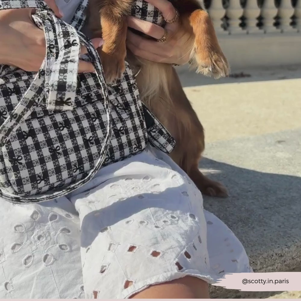 Dog Walking Bag - Pup in Paris