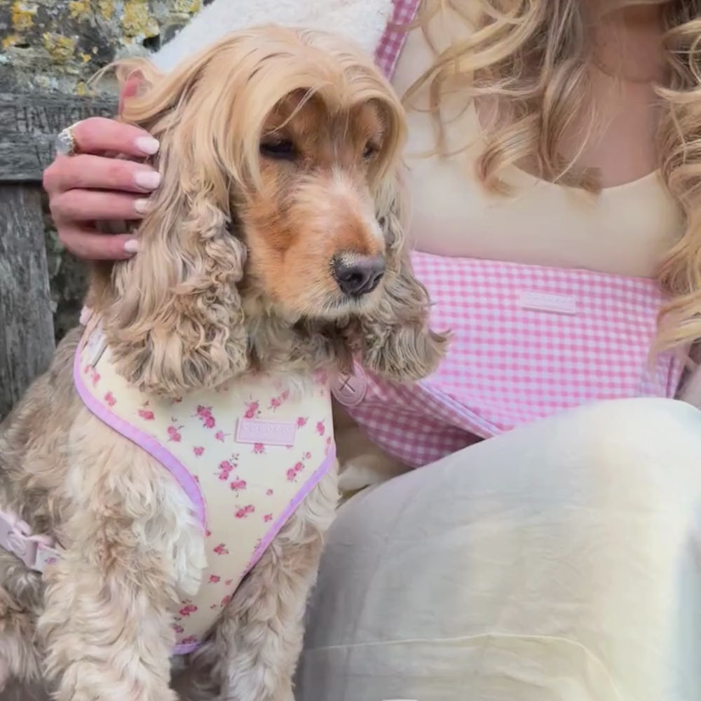 English Rose Adjustable Neck HARNESS