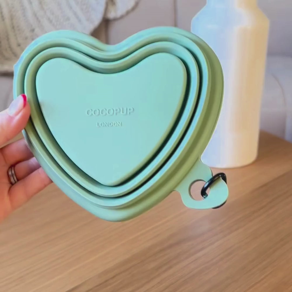 Heart Collapsible Bowl - Sage