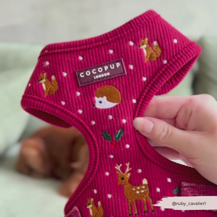 Holly Jolly Trails Adjustable Neck HARNESS