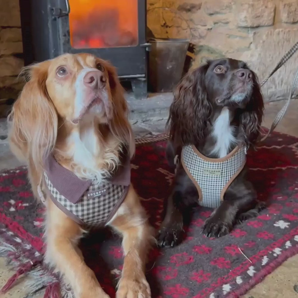 Heritage Check Adjustable Neck HARNESS
