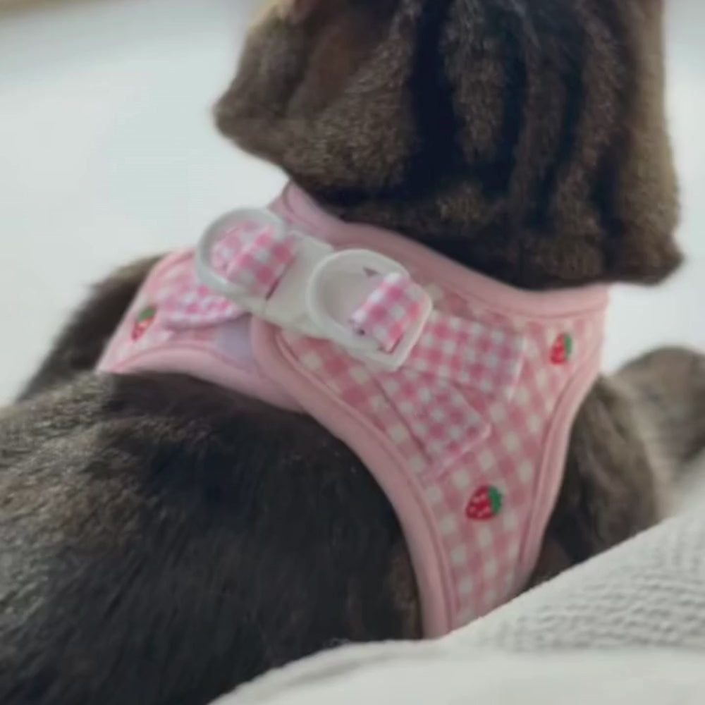 Cat Harness, Lead and Collar Bundle - Strawberry Picnic