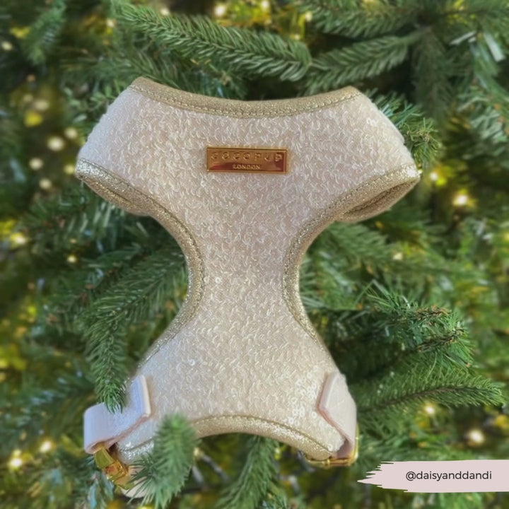 Limited Edition Sparkle Season Gold Adjustable Neck Harness, Lead & Collar Bundle