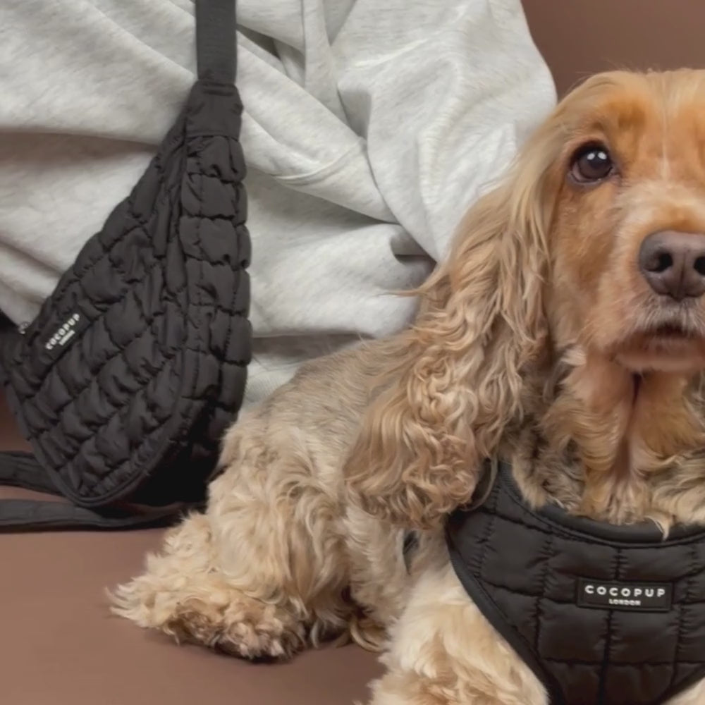 Onyx Quilted Adjustable Neck HARNESS