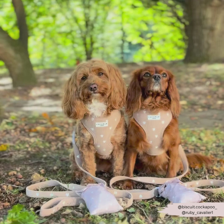 Chai Hearts Adjustable Neck HARNESS