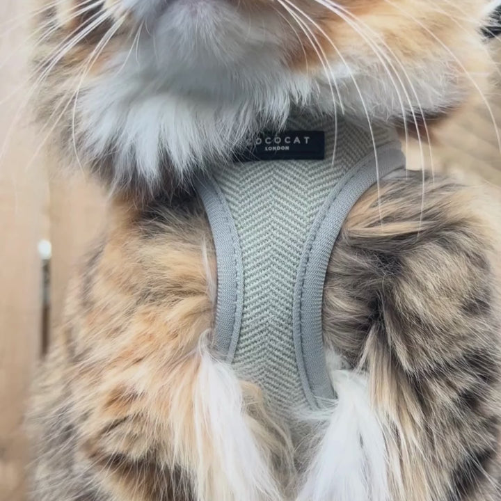 Cat Harness - Sage Tweed