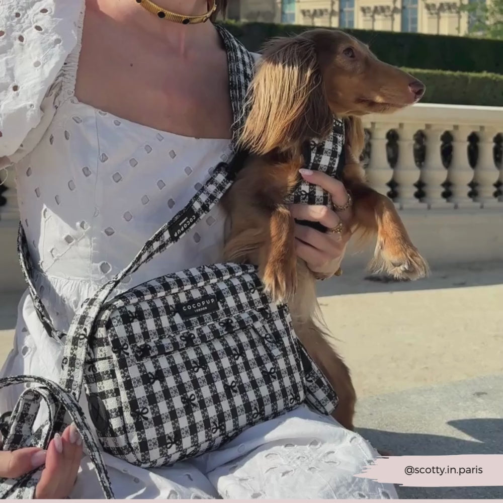 Dog Walking Bag - Pup in Paris