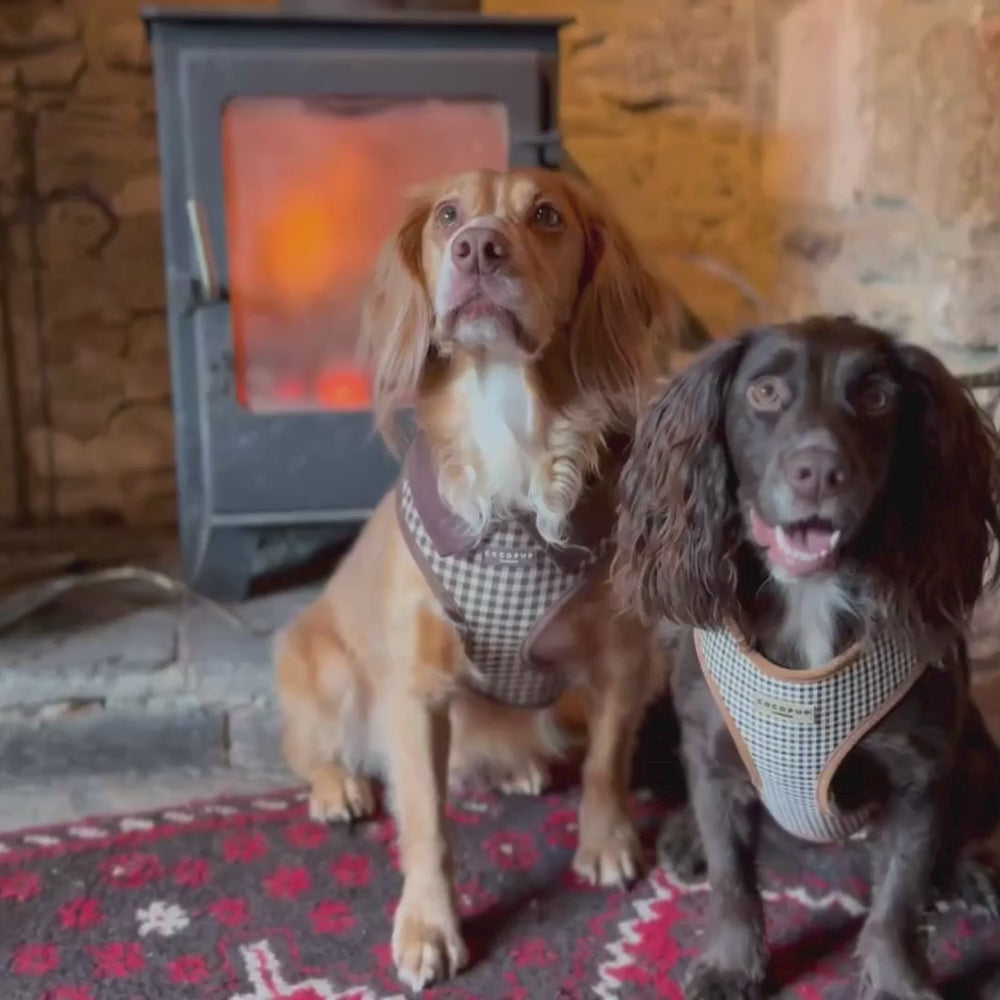 Heritage Check Adjustable Neck HARNESS