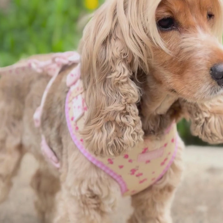 English Rose Adjustable Neck HARNESS