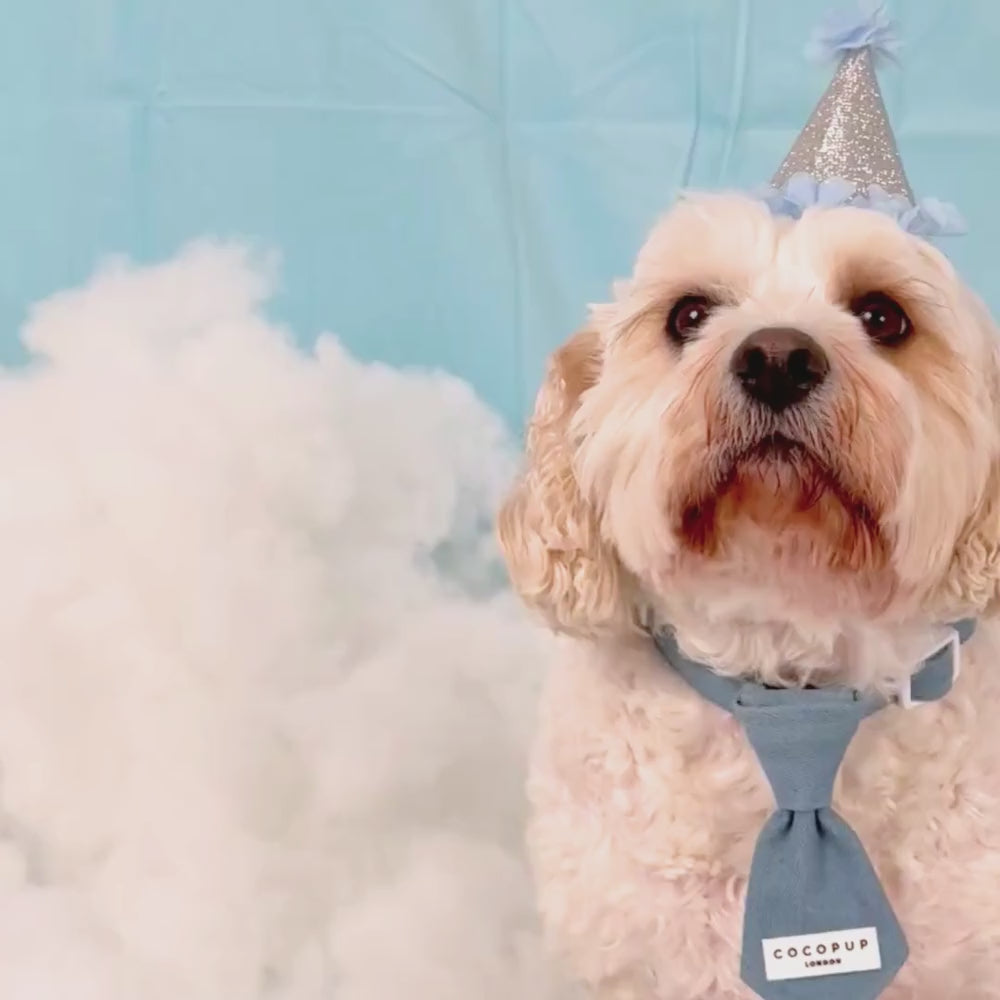Cloud Nine Dog Tie