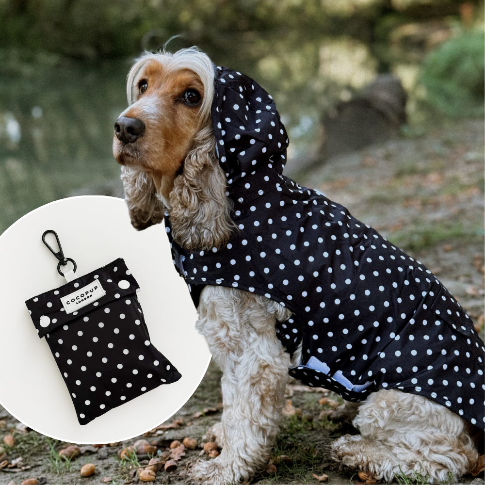 Dog wearing a black raincoat with white polka dots; matching pouch visible in the corner.