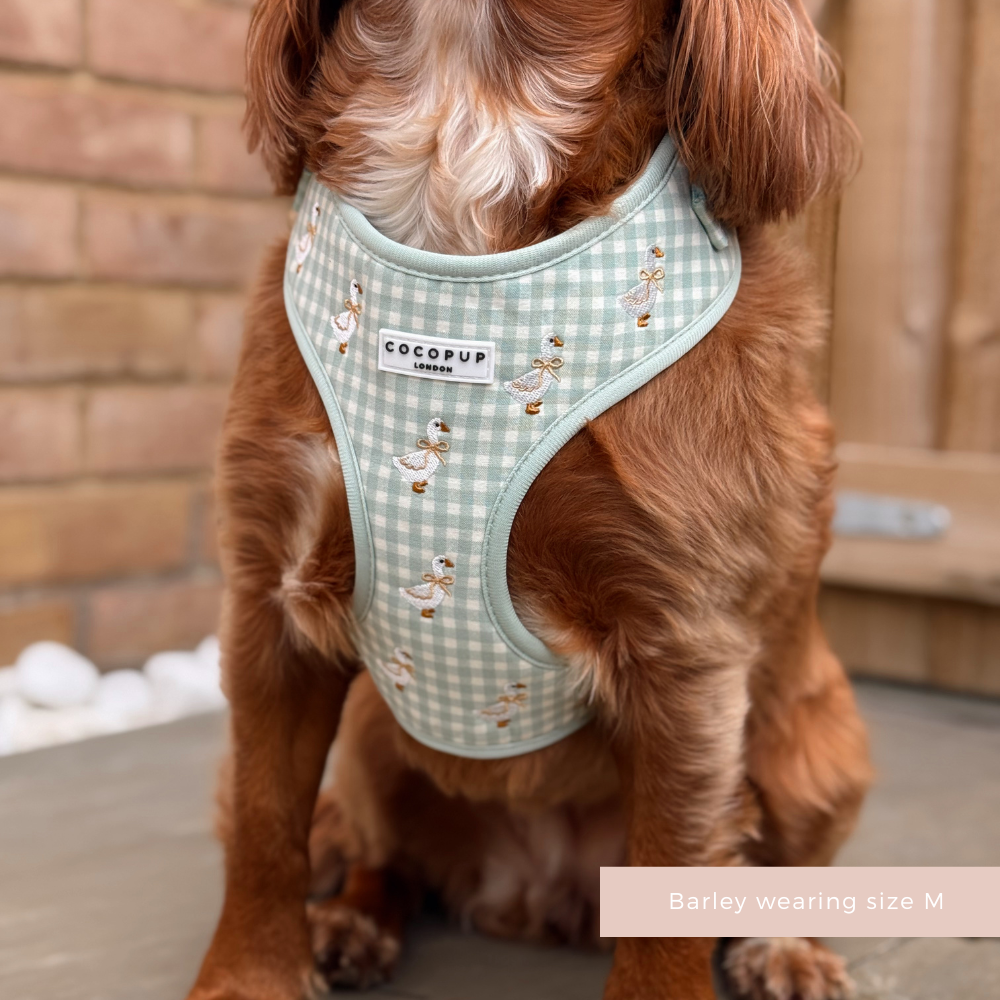 Silly Goose Adjustable Neck HARNESS