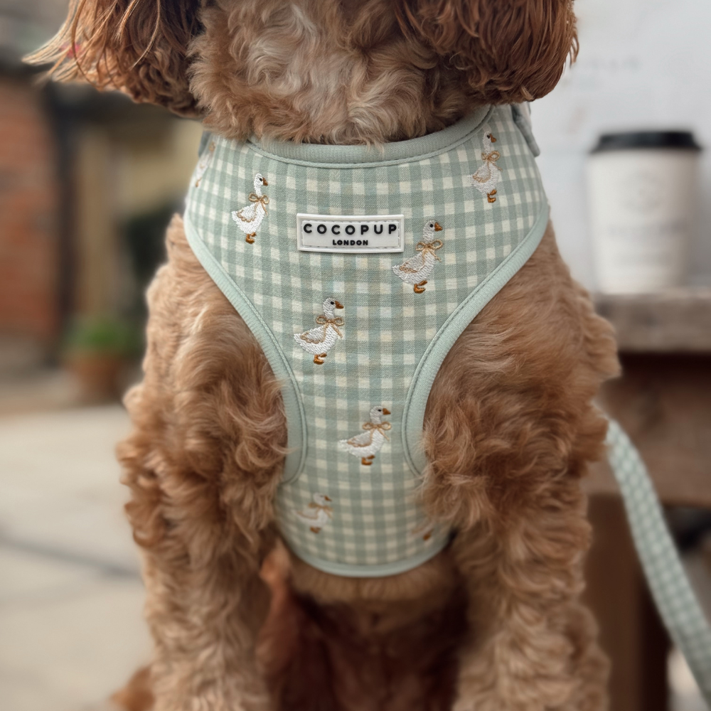 Silly Goose Adjustable Neck HARNESS