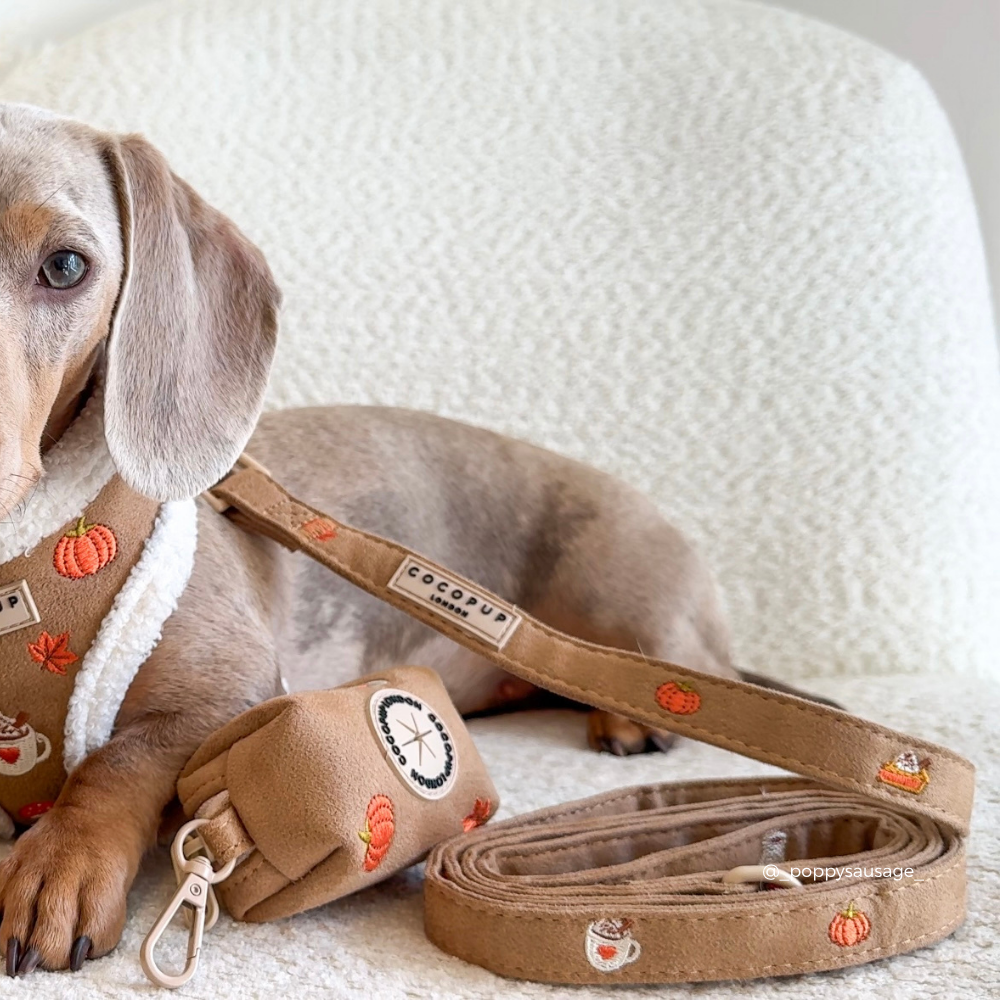 a dog poop bag holder and matching lead in a tan suede with embroidered autumnal icons