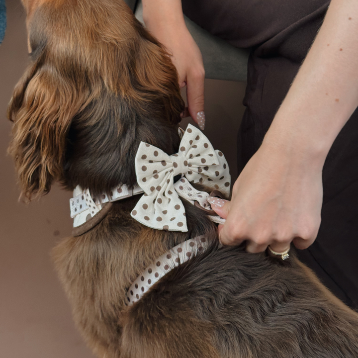 Tiramisu Polka Dot Sailor Bow Tie