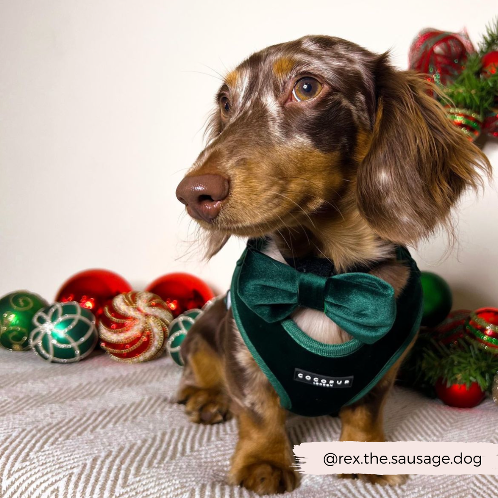 LUXE Velvet Bow Tie - Forest Green