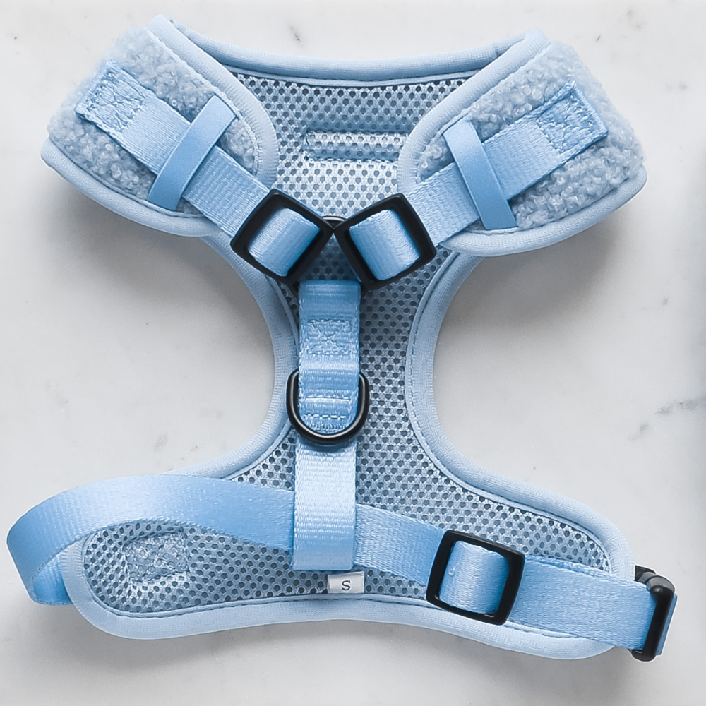 A small baby blue dog harness with adjustable straps and black buckles is laid flat on a white surface. The Cocopup London Teddy Adjustable Neck Harness - Daydream features breathable mesh fabric in the center, with soft padding on the chest and back areas for extra comfort.
