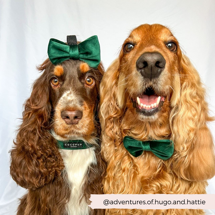 LUXE Velvet Bow Tie - Forest Green