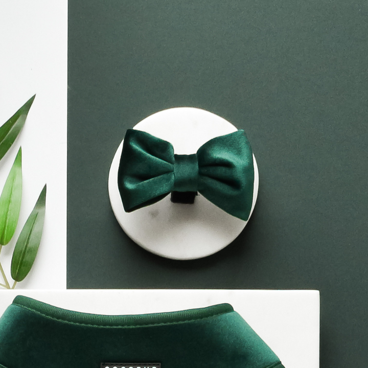 LUXE Velvet Bow Tie - Forest Green